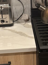 The second mice I caught the 3rd day