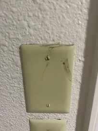 Gross plate in the bathroom