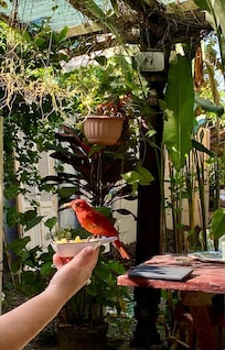Lo que vivimos en el desayuno 👌🏼