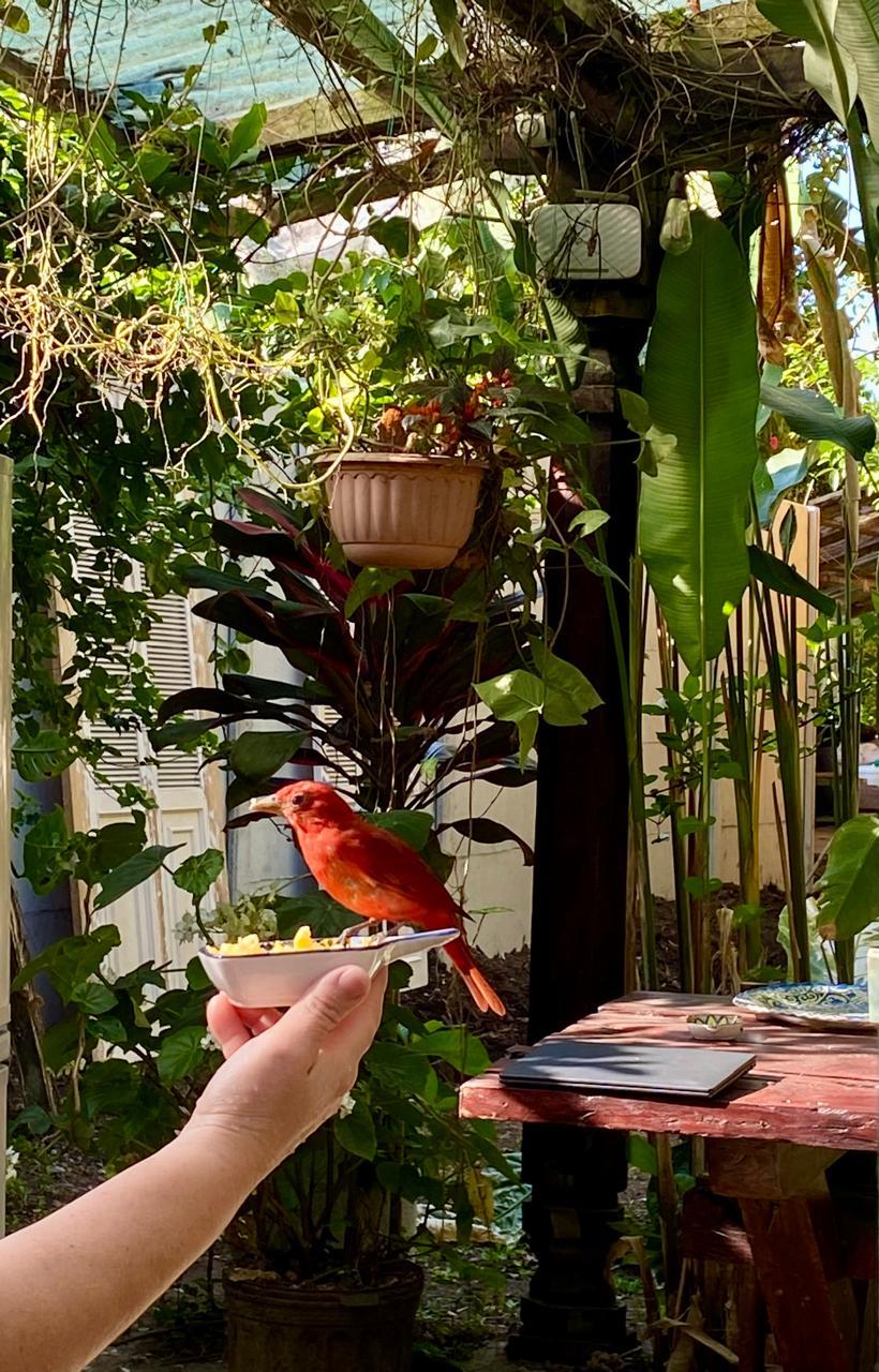 Lo que vivimos en el desayuno 👌🏼