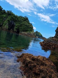 プライベートビーチ