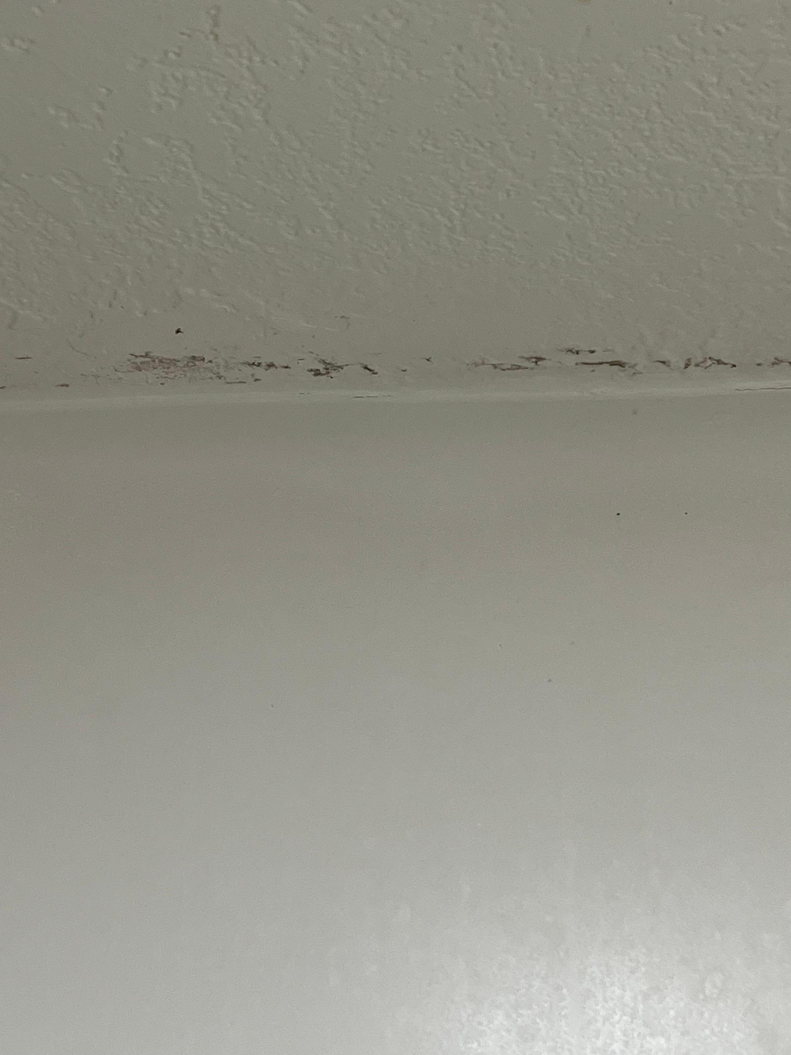 Mold in shower 