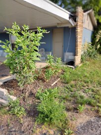 The place needs a little TLC