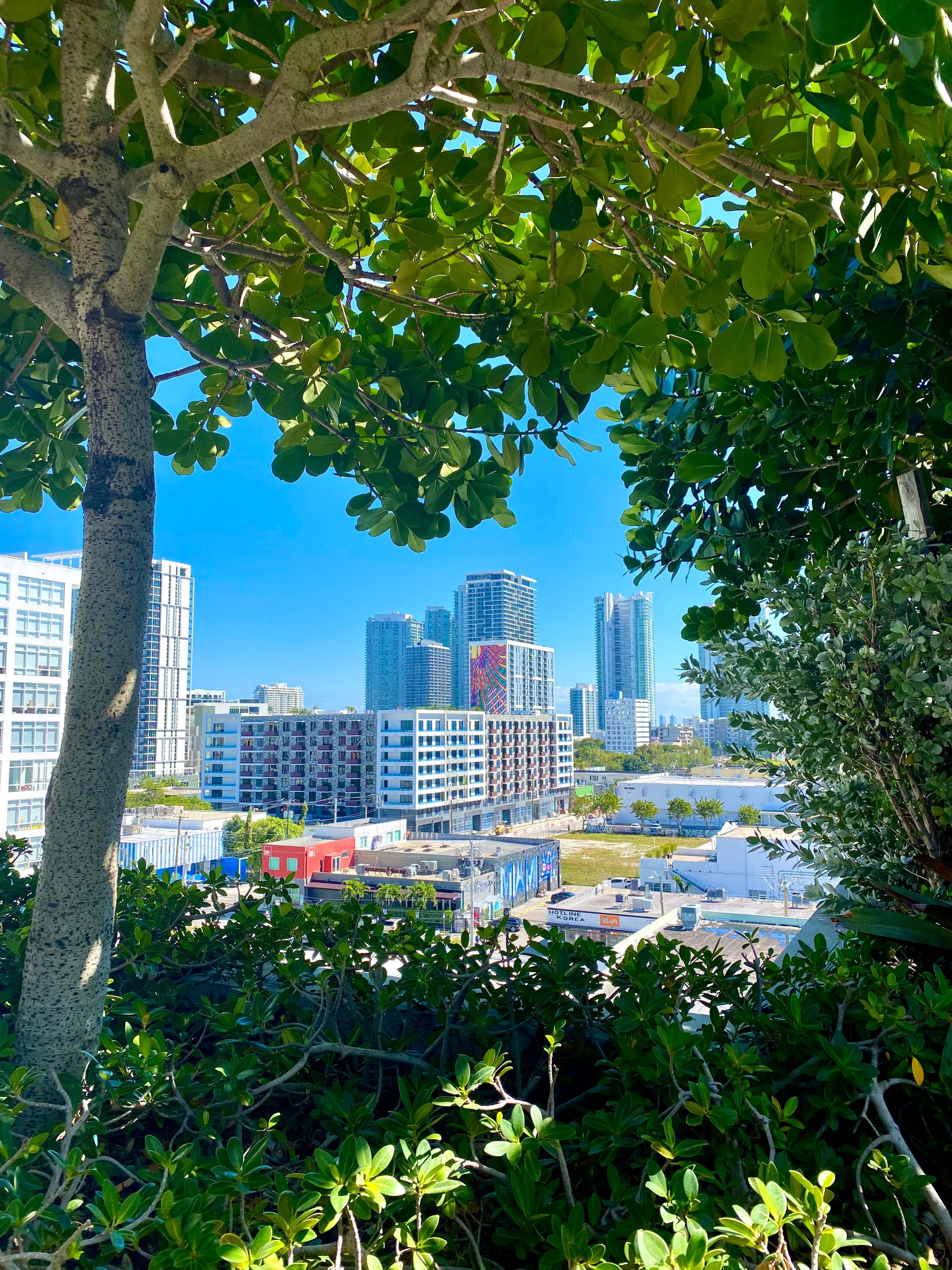 View from the pool/lounge