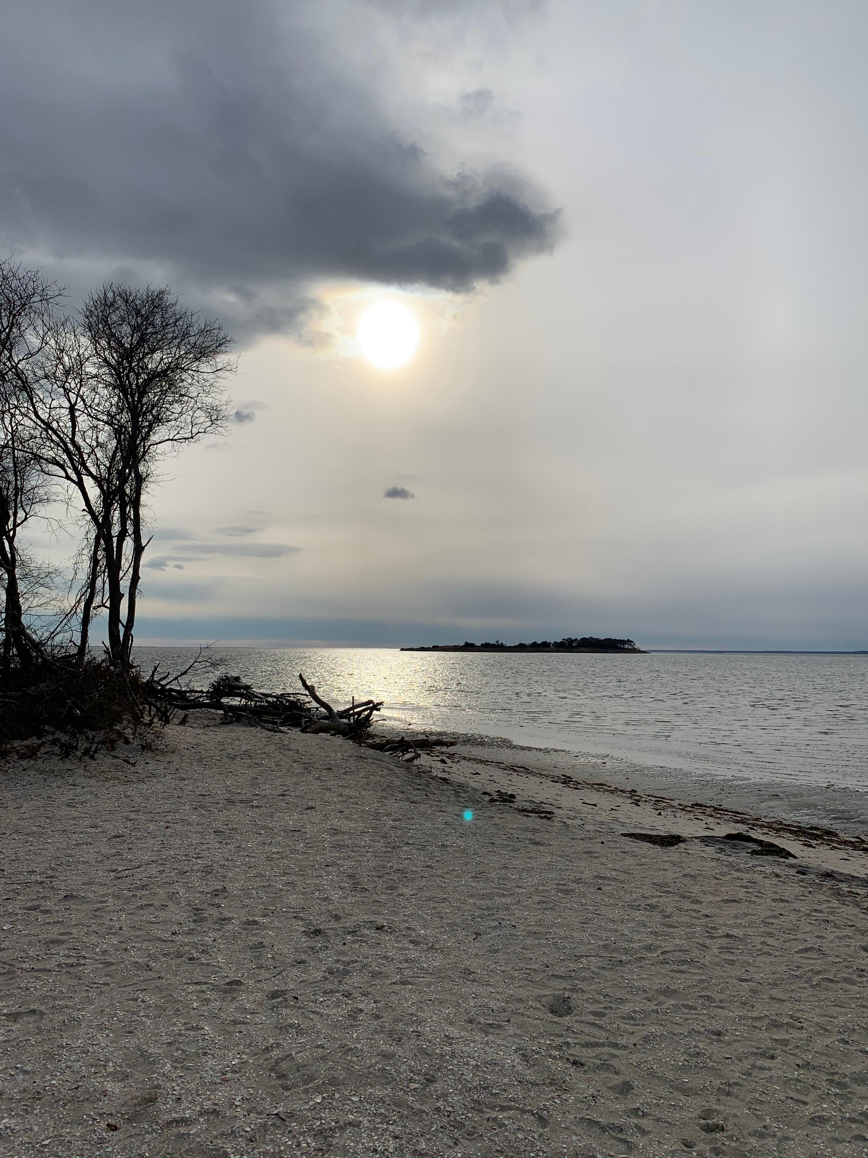 Assateague Island