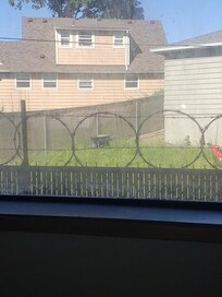 Our view!