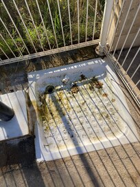 Pool shower tray