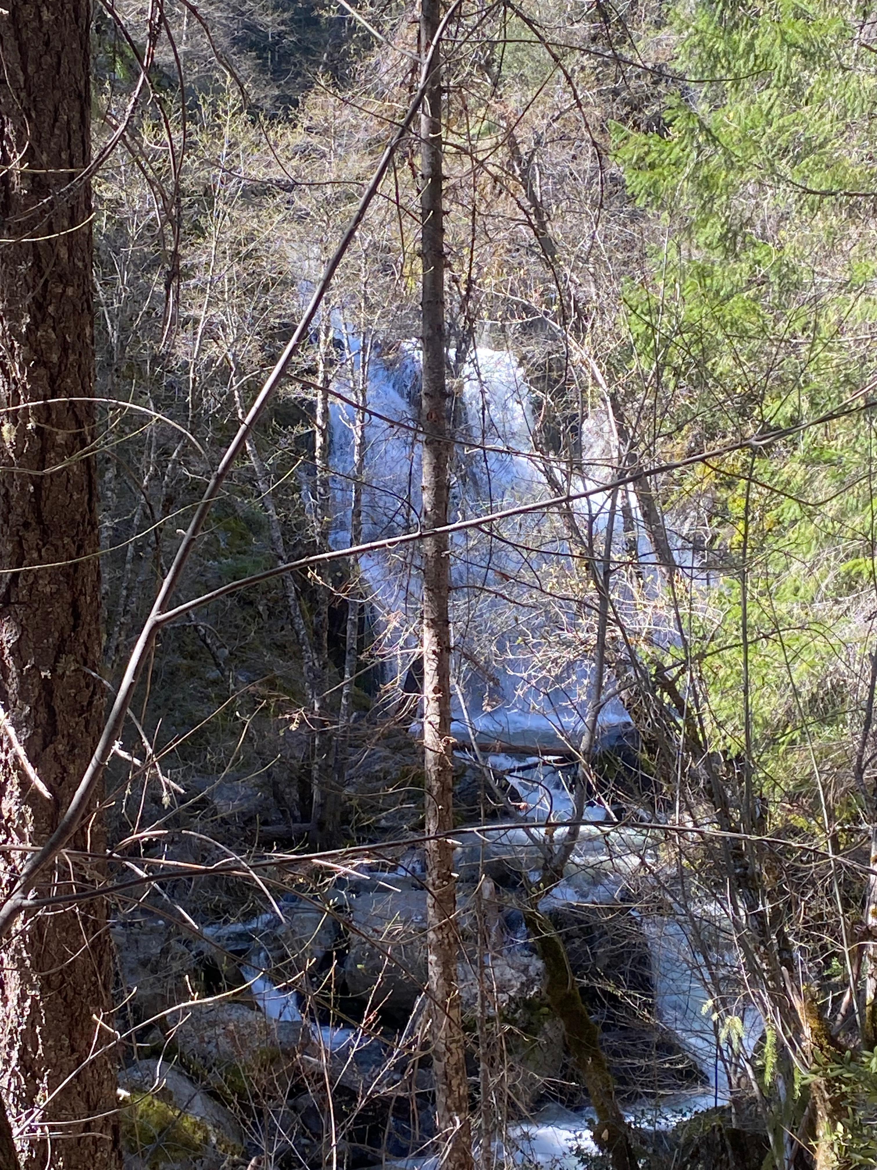 Mc cloud middle falls