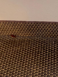 Live roach.