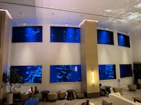 View of the gigantic fish tank in the lobby