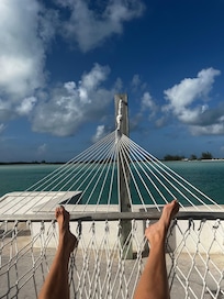 My view during evening hammock reading