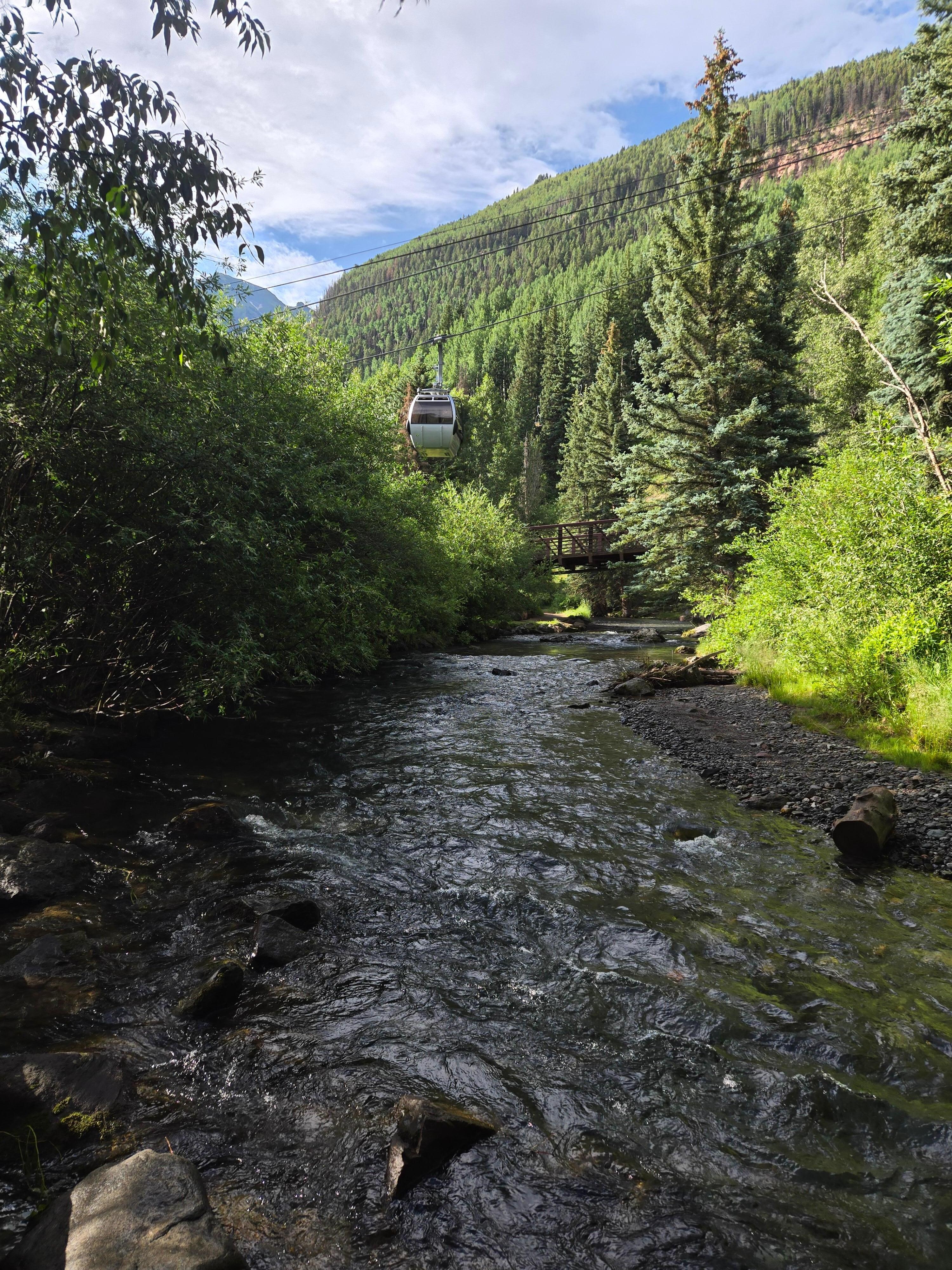 Walk along the creek just one minute away