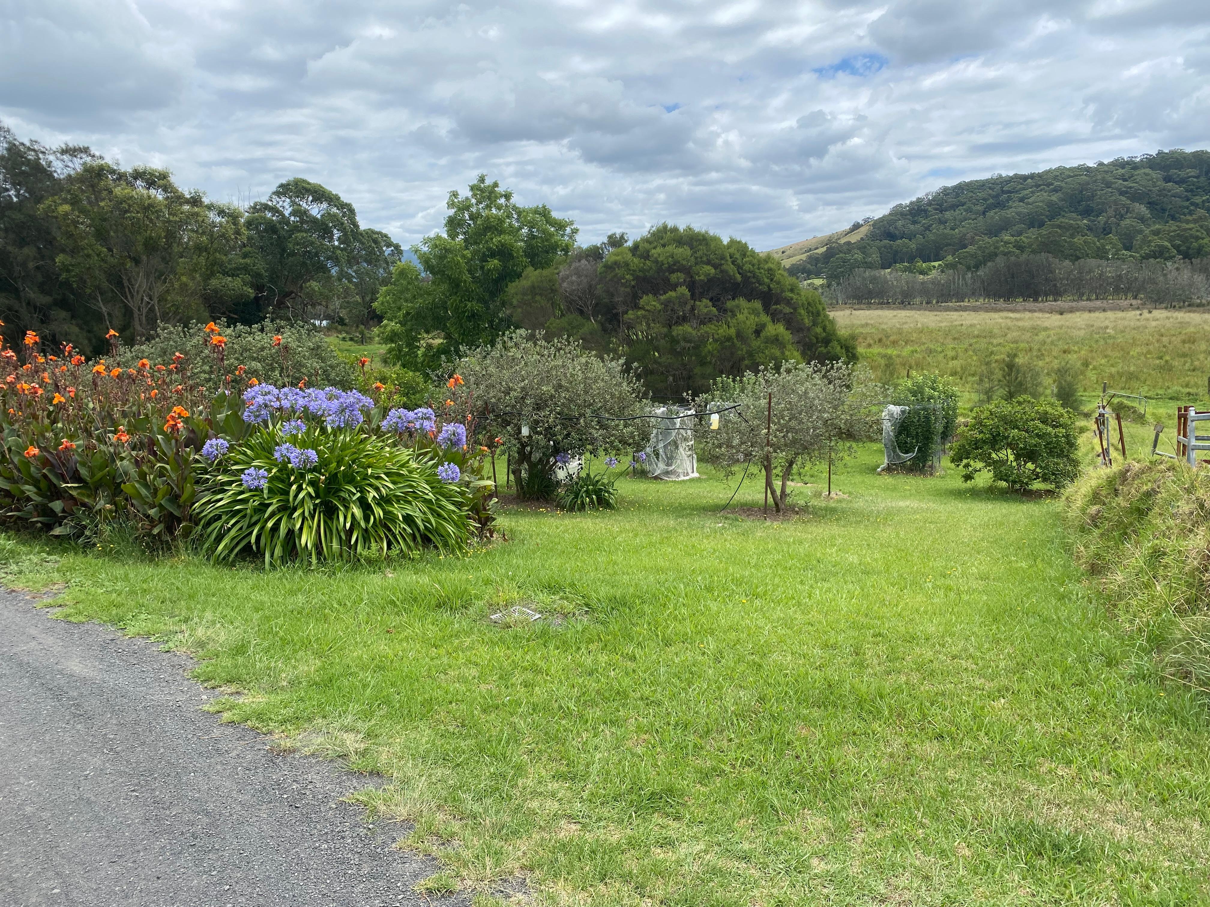 View over farmland from near front patio of cottage