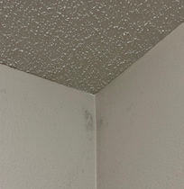 Room 320
