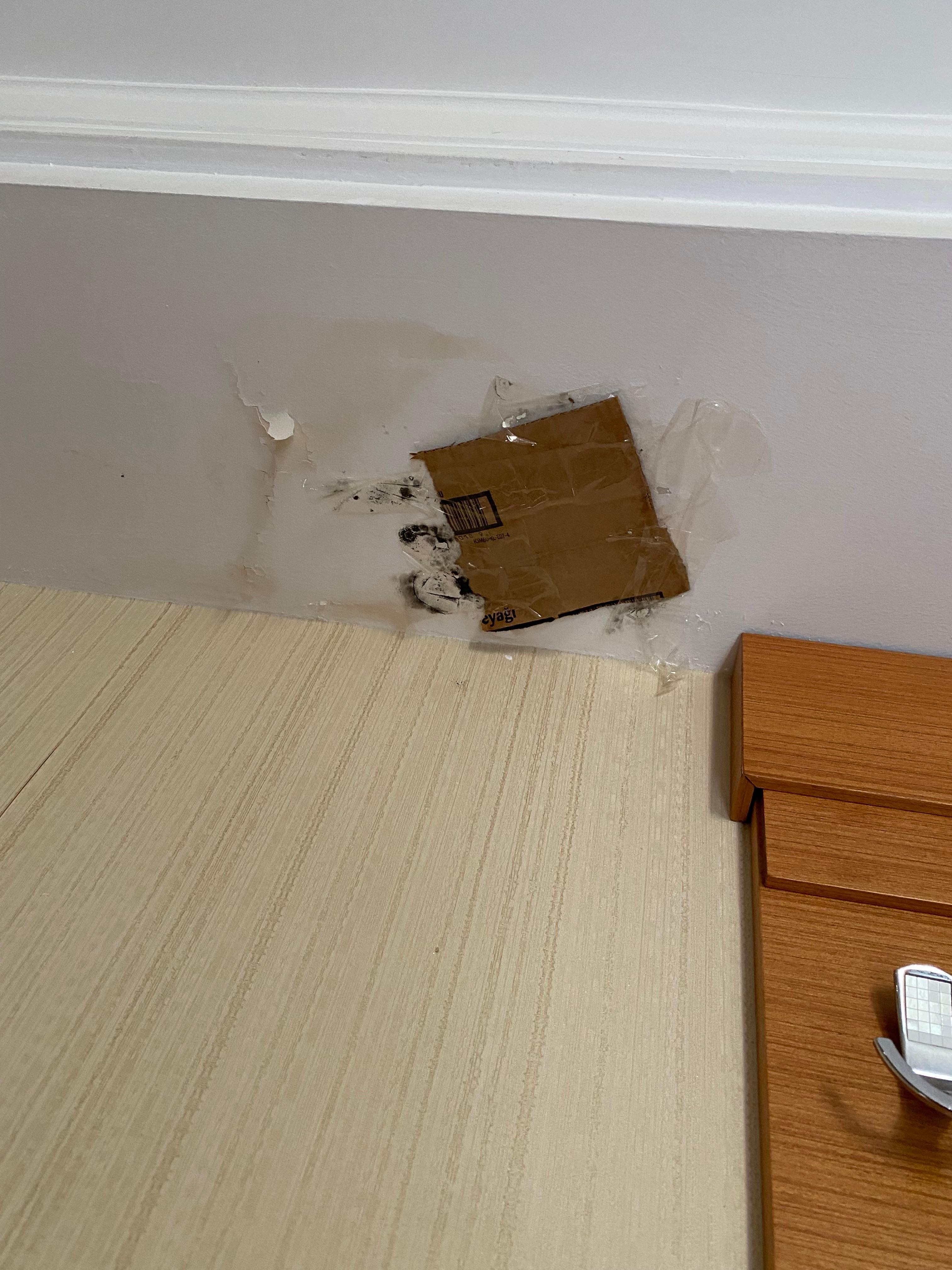 Hole on the ceiling with mold