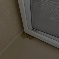 Never wiped the countertop by the microwave