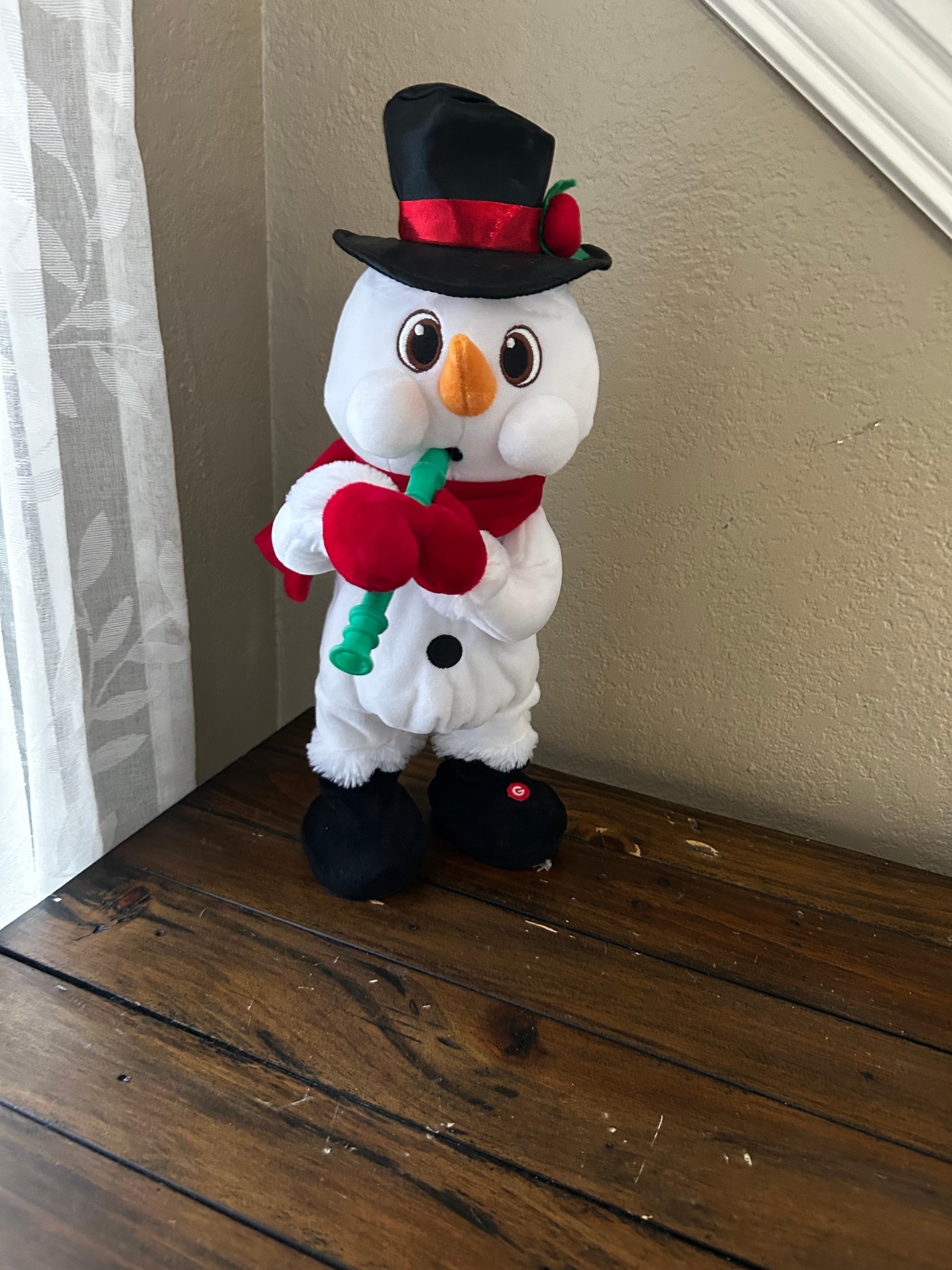 The most annoying Christmas decoration, but my little boys thought it was the coolest thing ever. 🤣