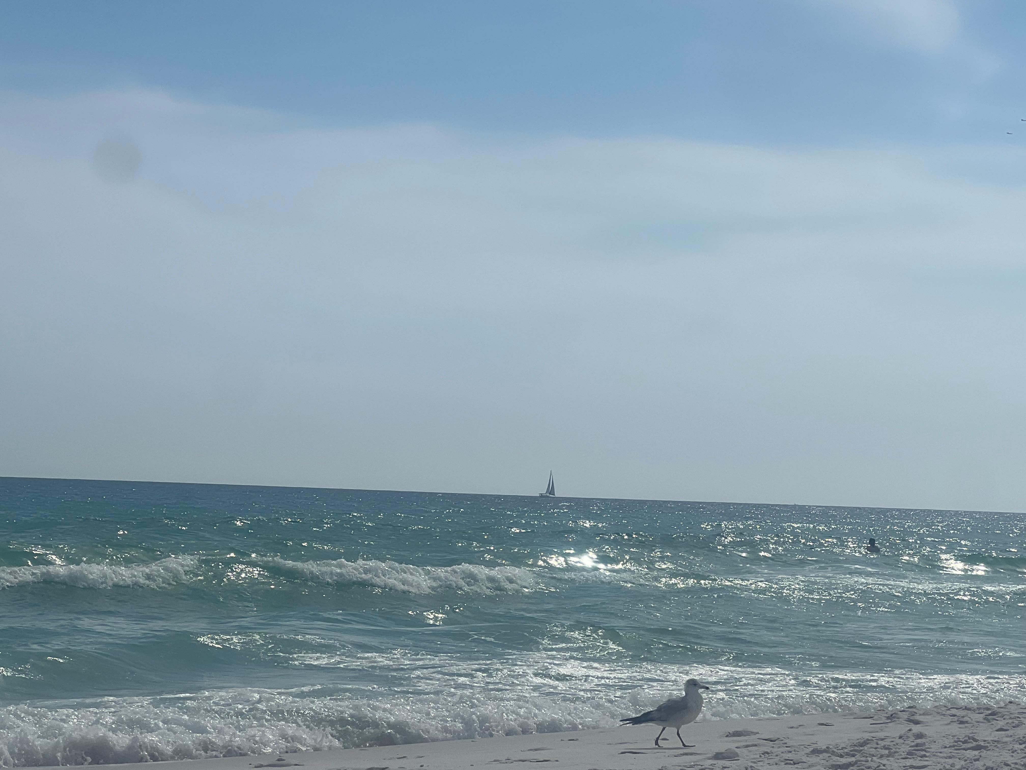 View from beach chair. Beach service staff was great! Just pick your spot by leaving a towel, etc-can stay til 5pm!