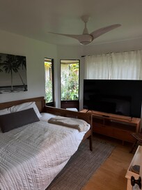 Guest room/tv room