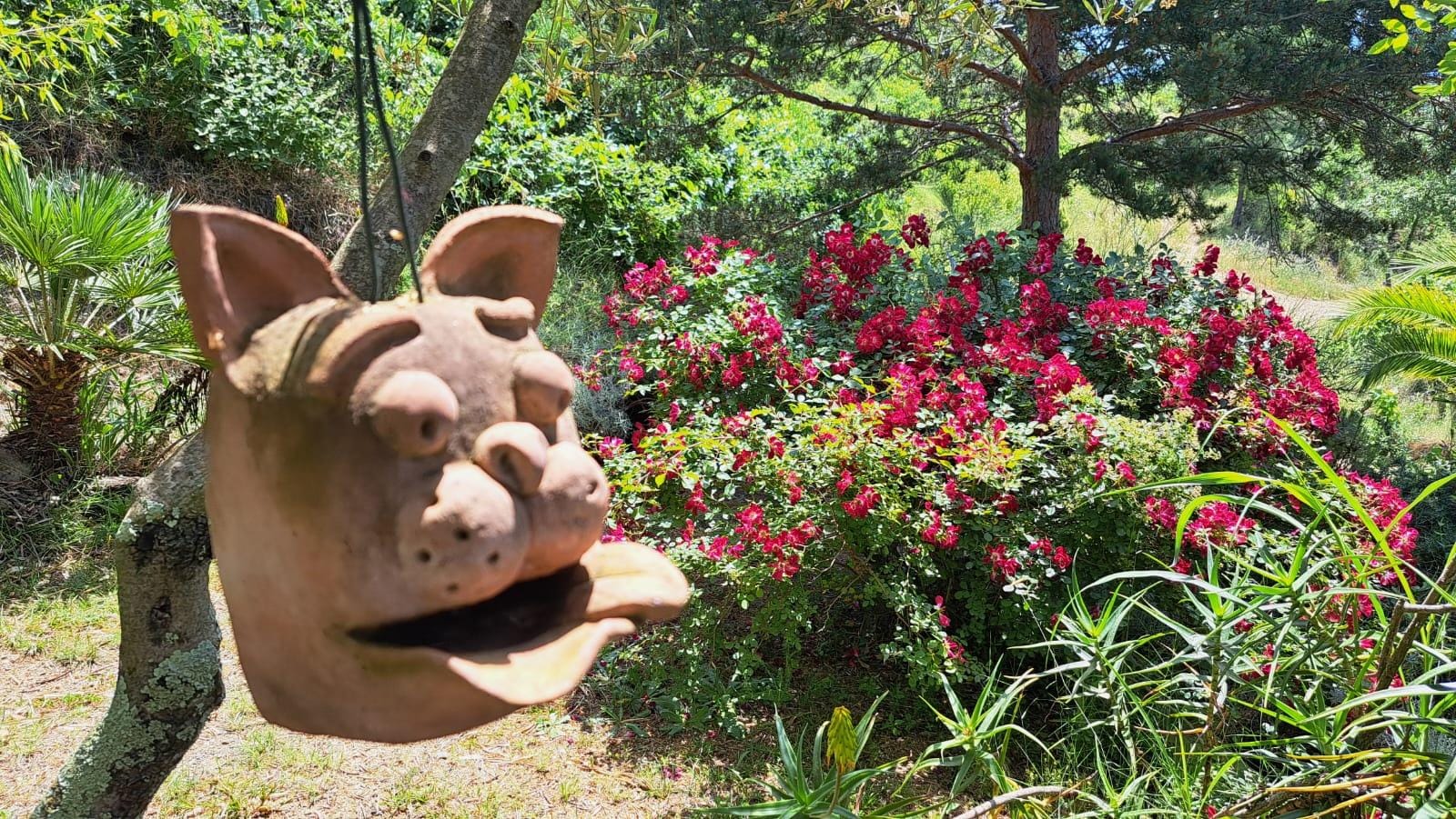 les poteries de Dominique