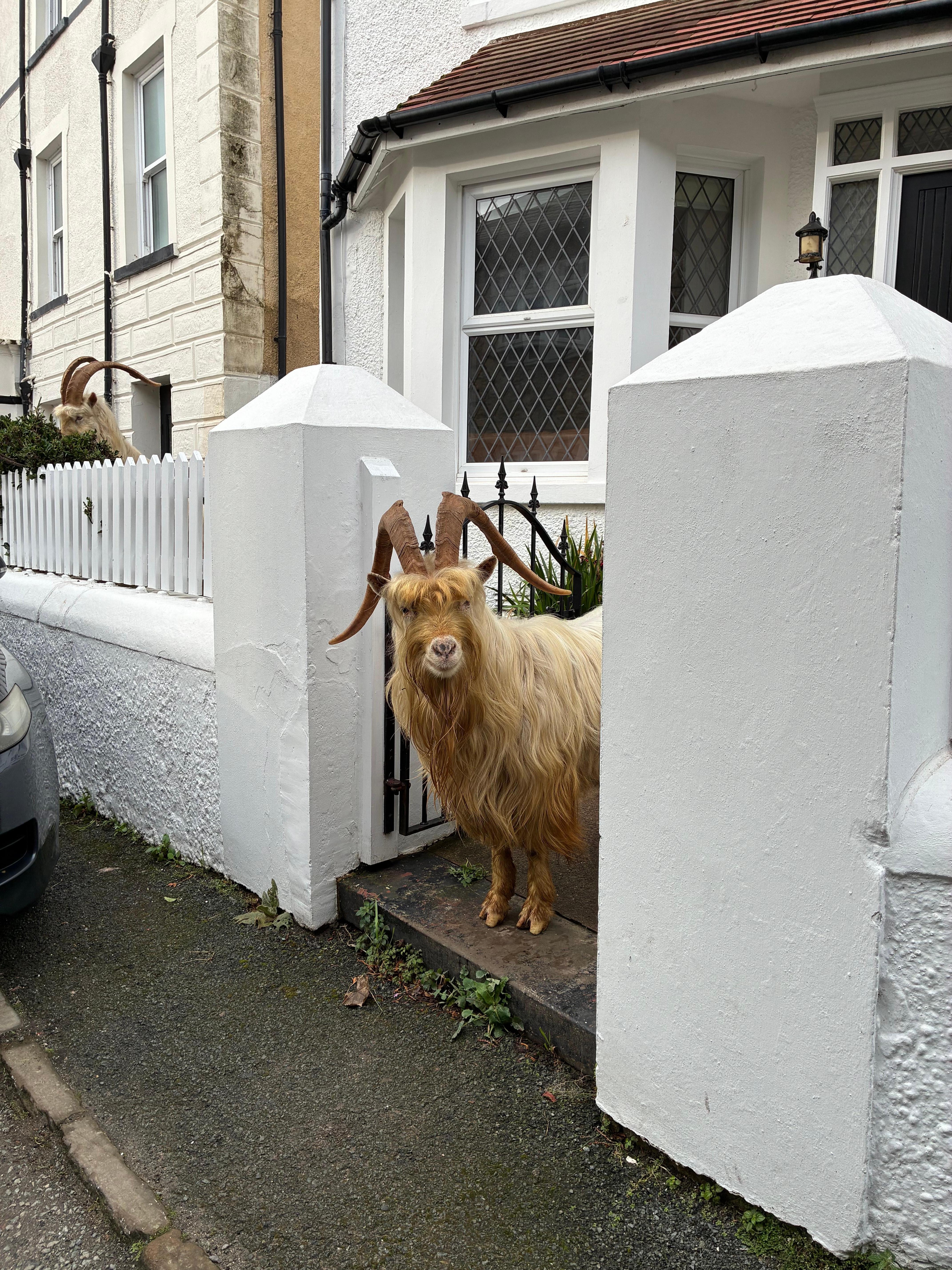 Introduced ourselves to a couple of locals having breakfast.