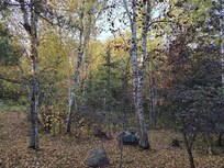 View from the back deck