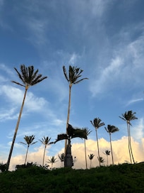 View from the bedroom lanai