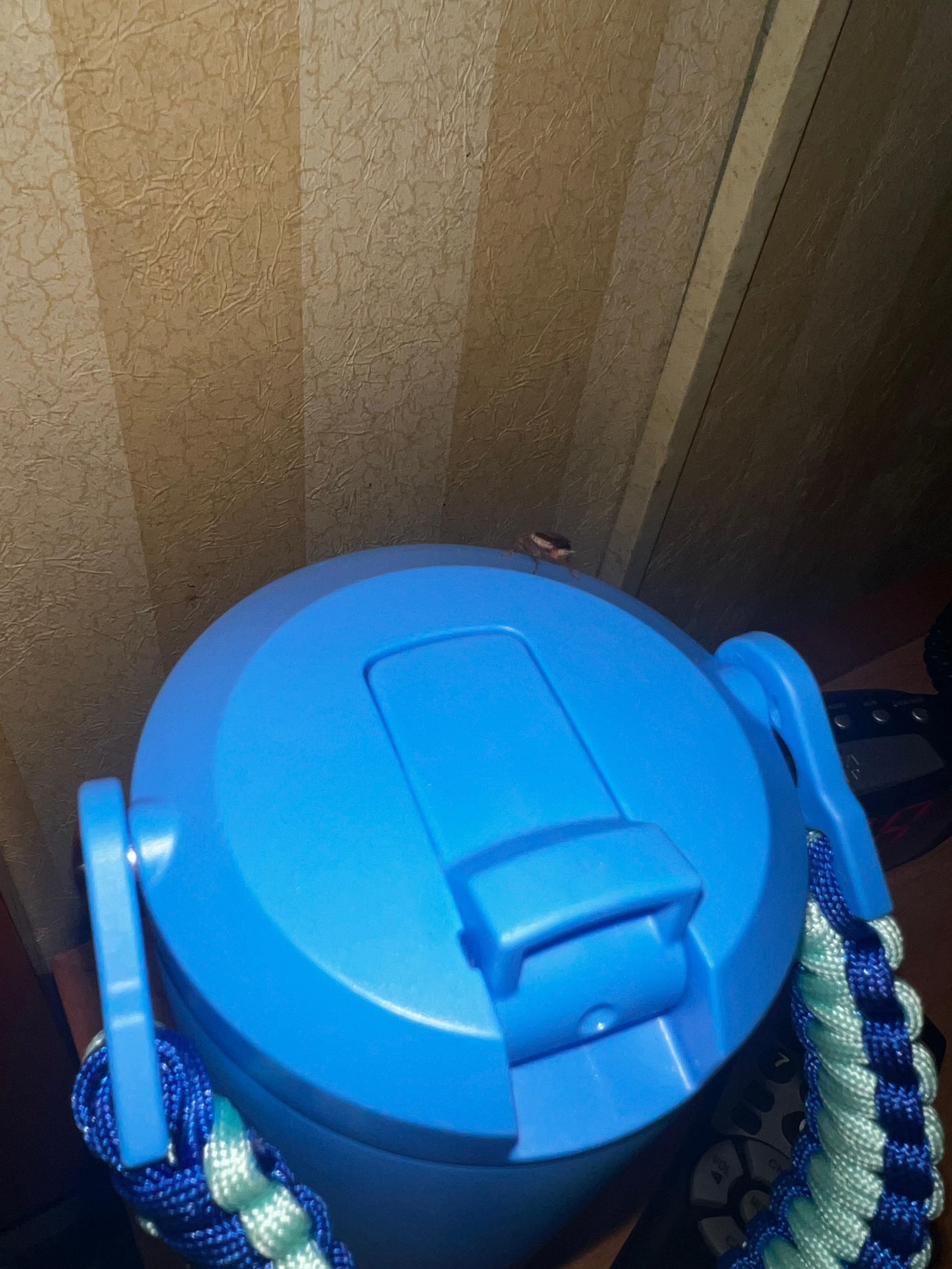 Cockroach on my water bottle 