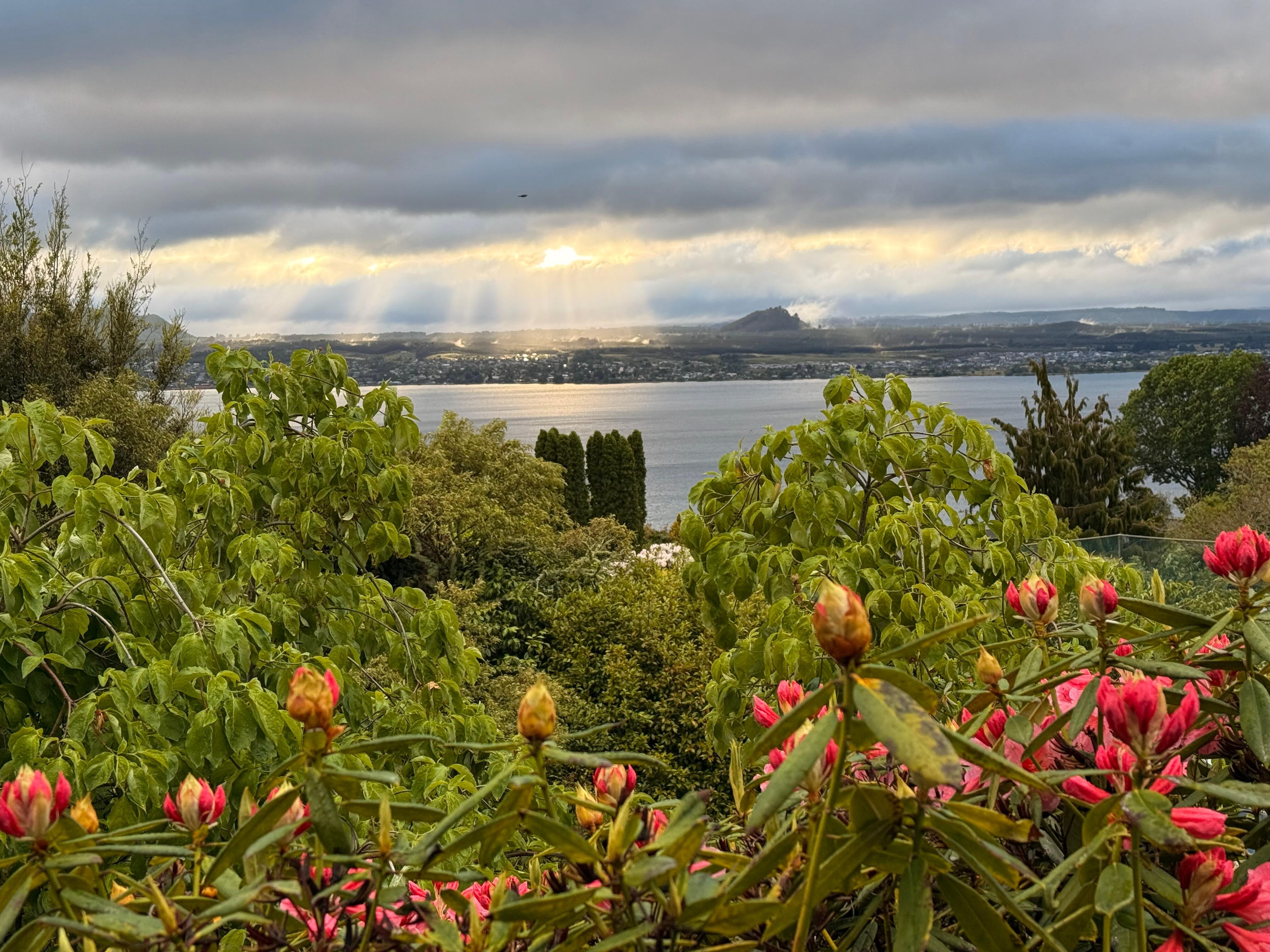 Morning view from the lanai.
