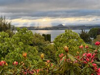 Morning view from the lanai.
