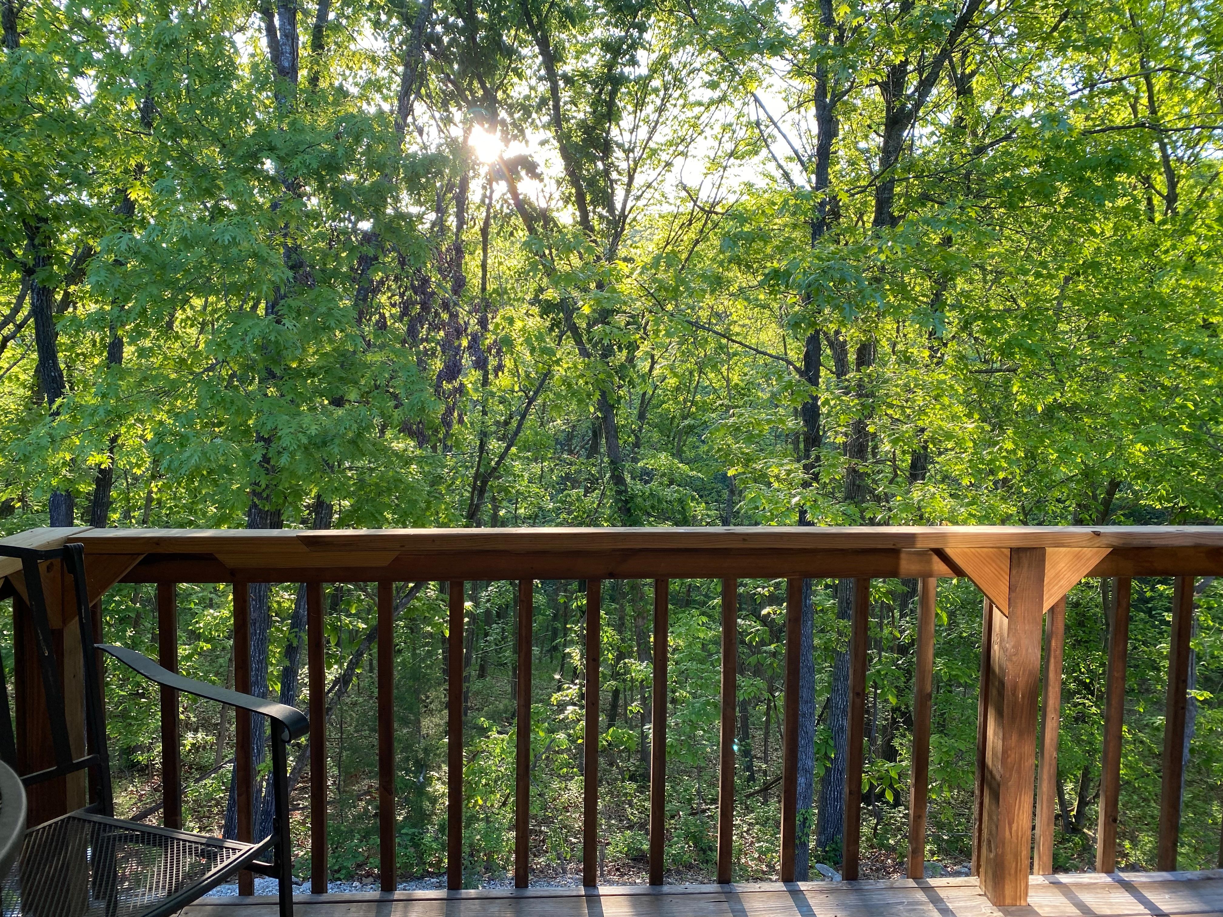 Enjoying the bird calls with morning tea on the deck.