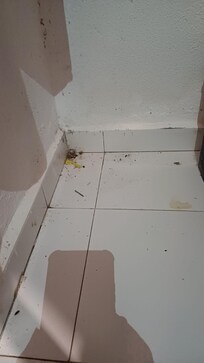 sporcizia negli angoli della camera