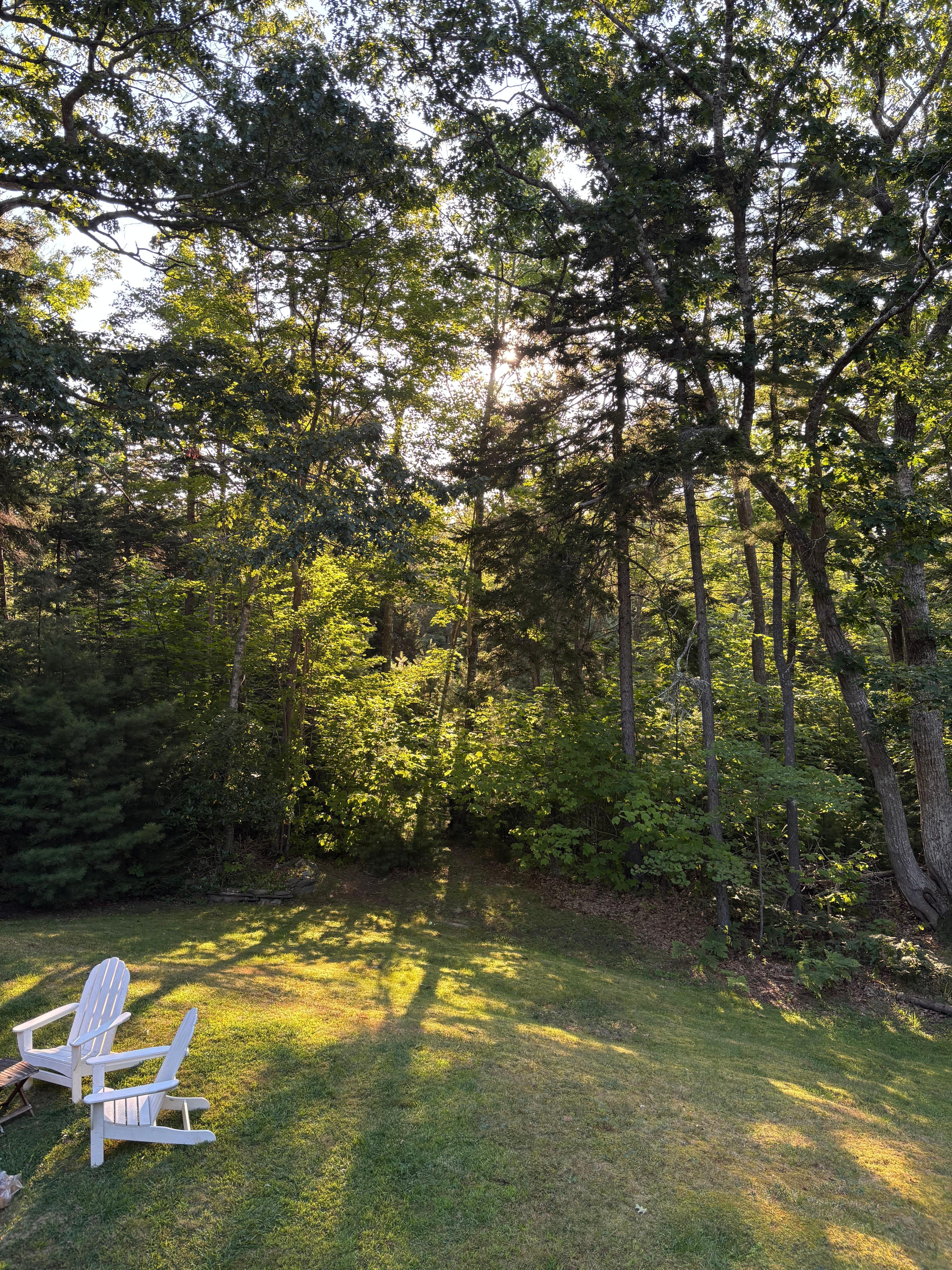 Beautiful view in the morning.