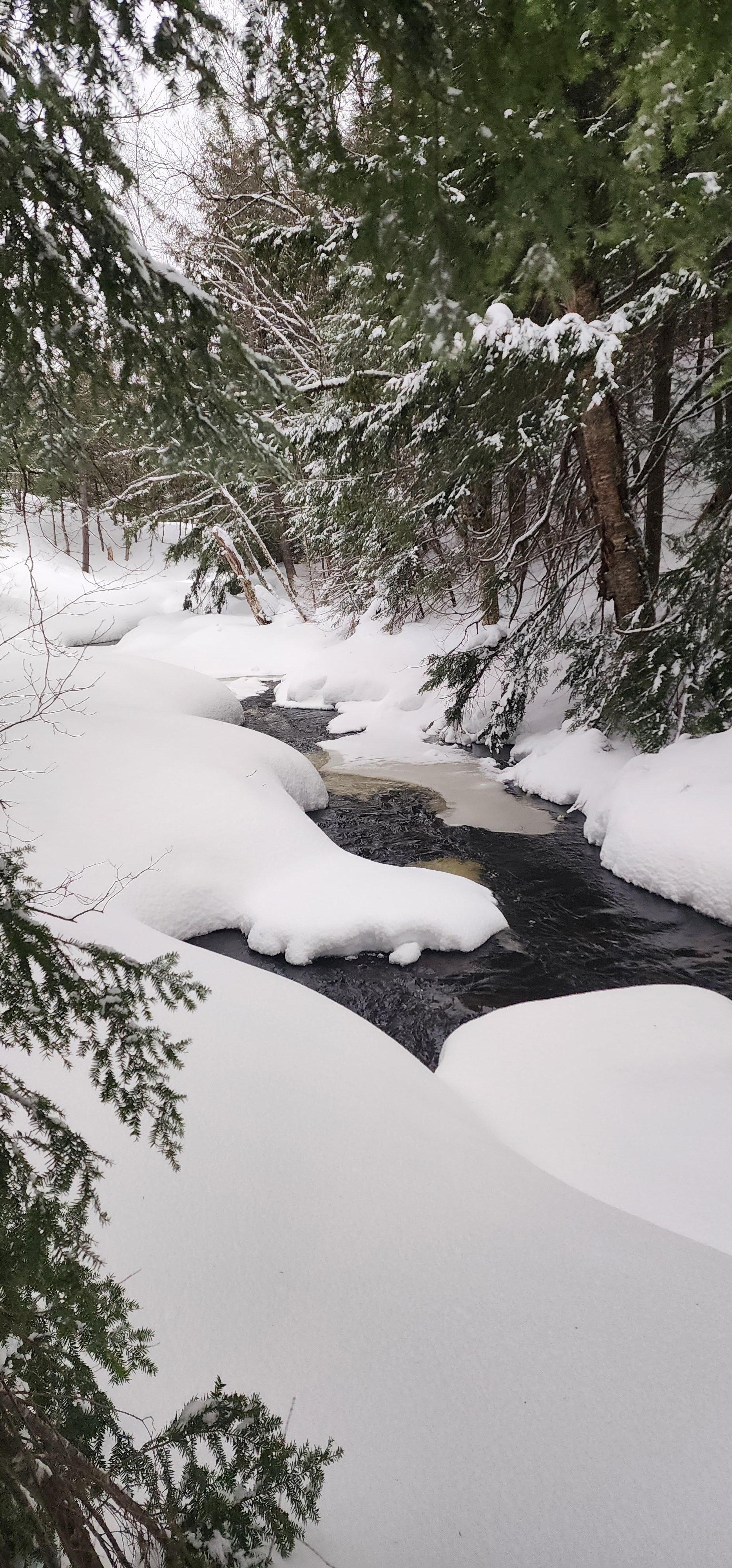 The Stream that runs thru the backside of this property..GORGEOUS!
