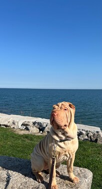 Beautiful walk!
