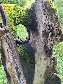 Auf dem Weg direkt an der Ferienwohnung