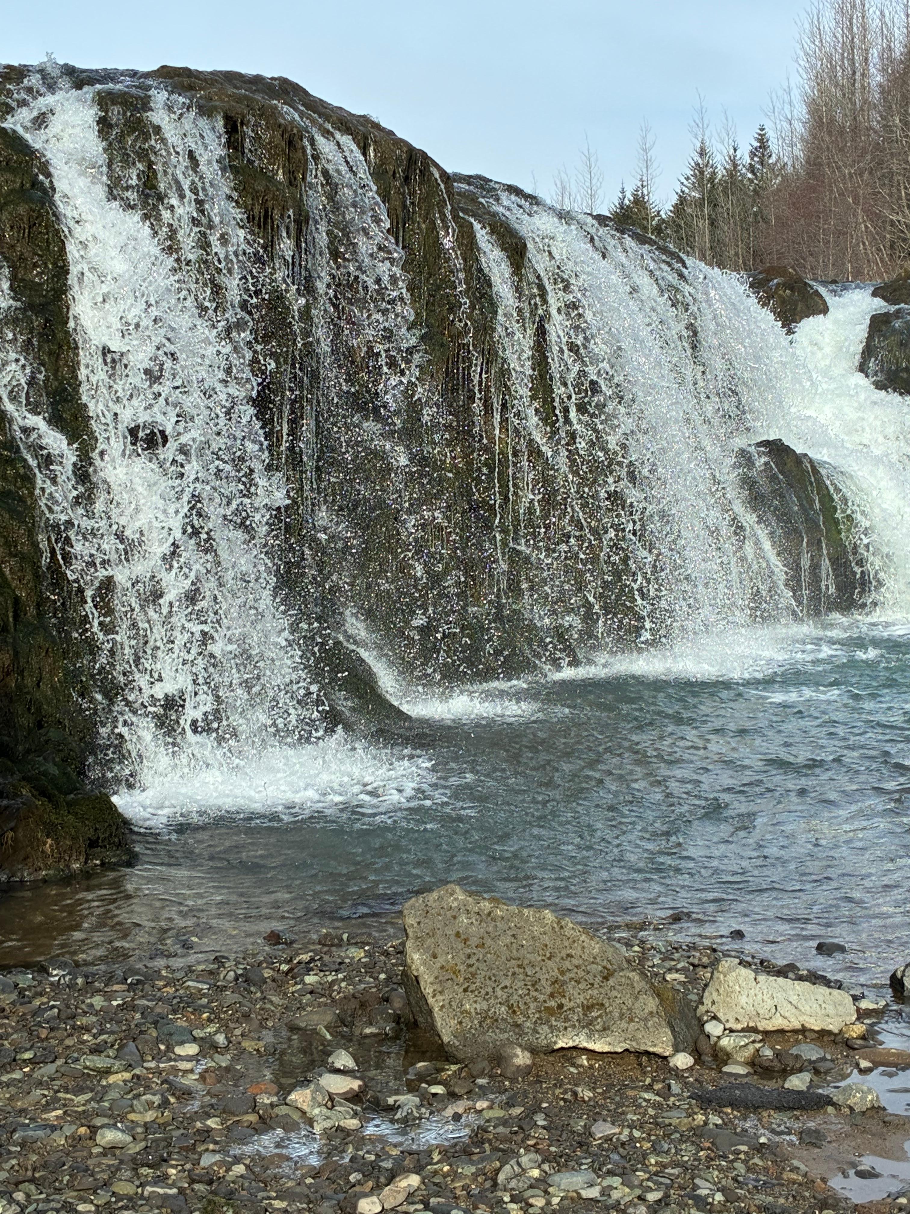 Natural beauty everywhere