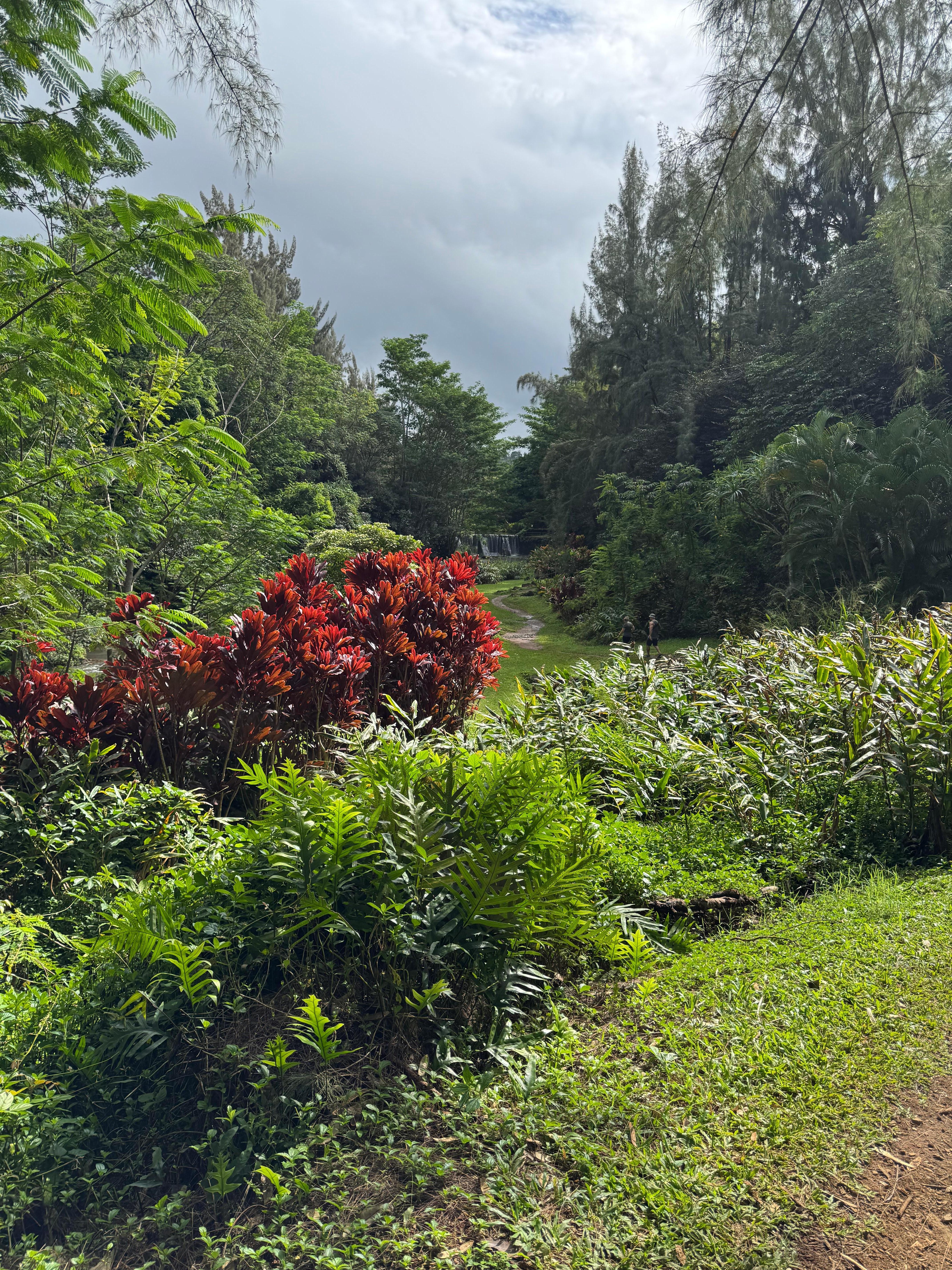 The Stone Bridge garden adventure walk was beautiful.