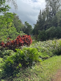 The Stone Bridge garden adventure walk was beautiful.