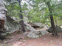 Robbers cave state park