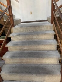 Stained/dirty carpeting
