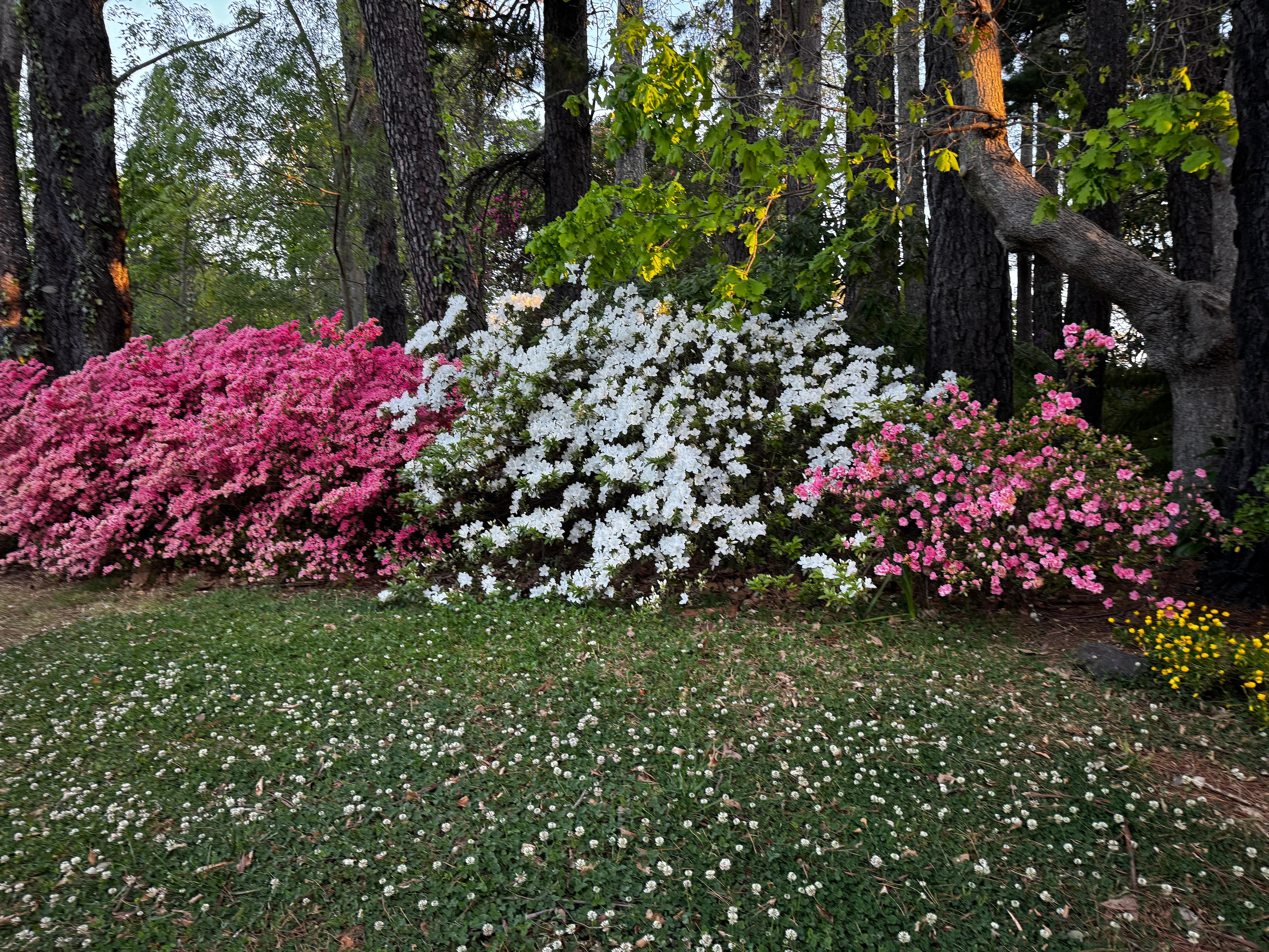 Walk in neighborhood 