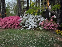 Walk in neighborhood