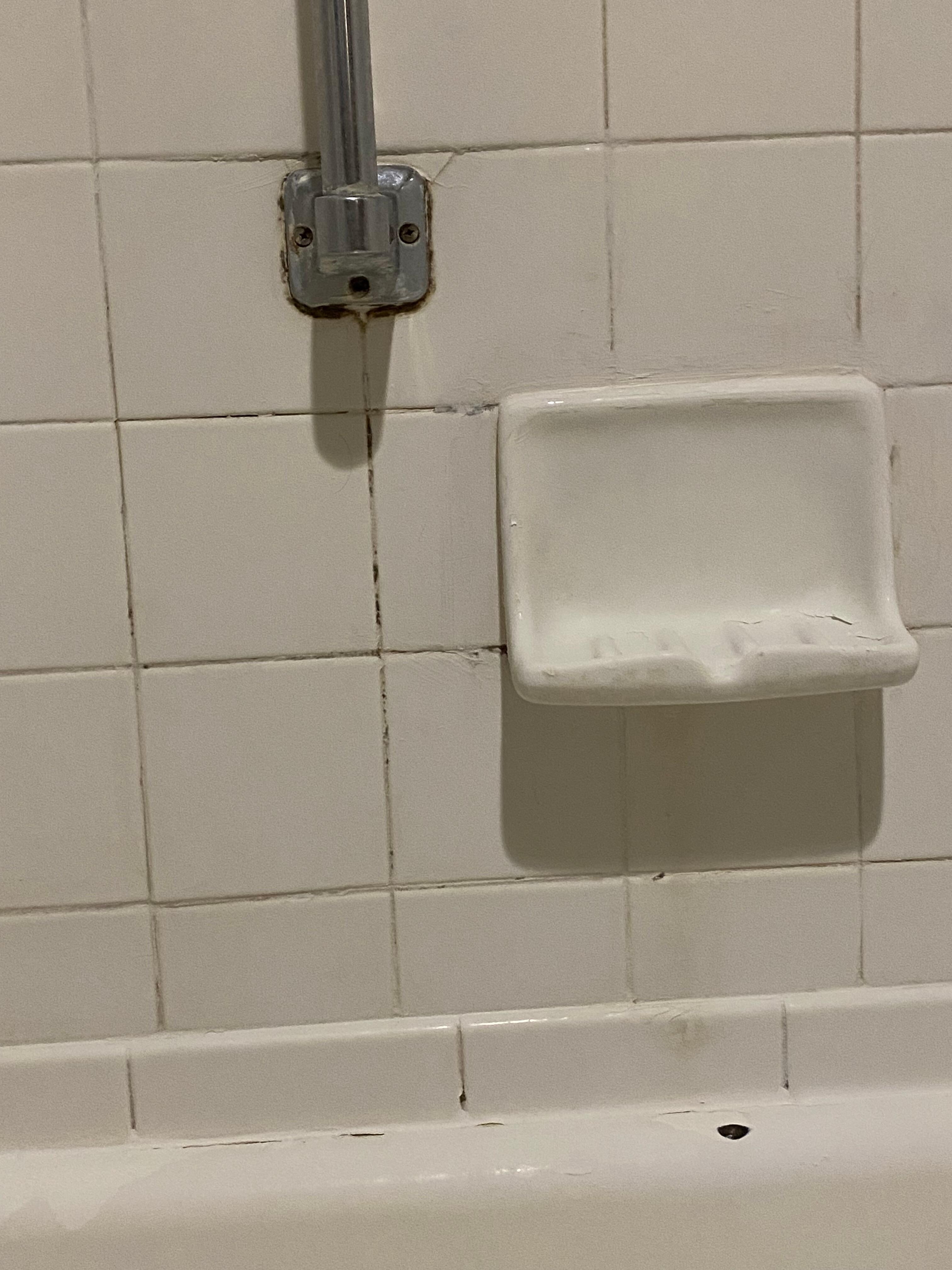 Mildew