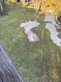 Neighbor dog. Super sweet.