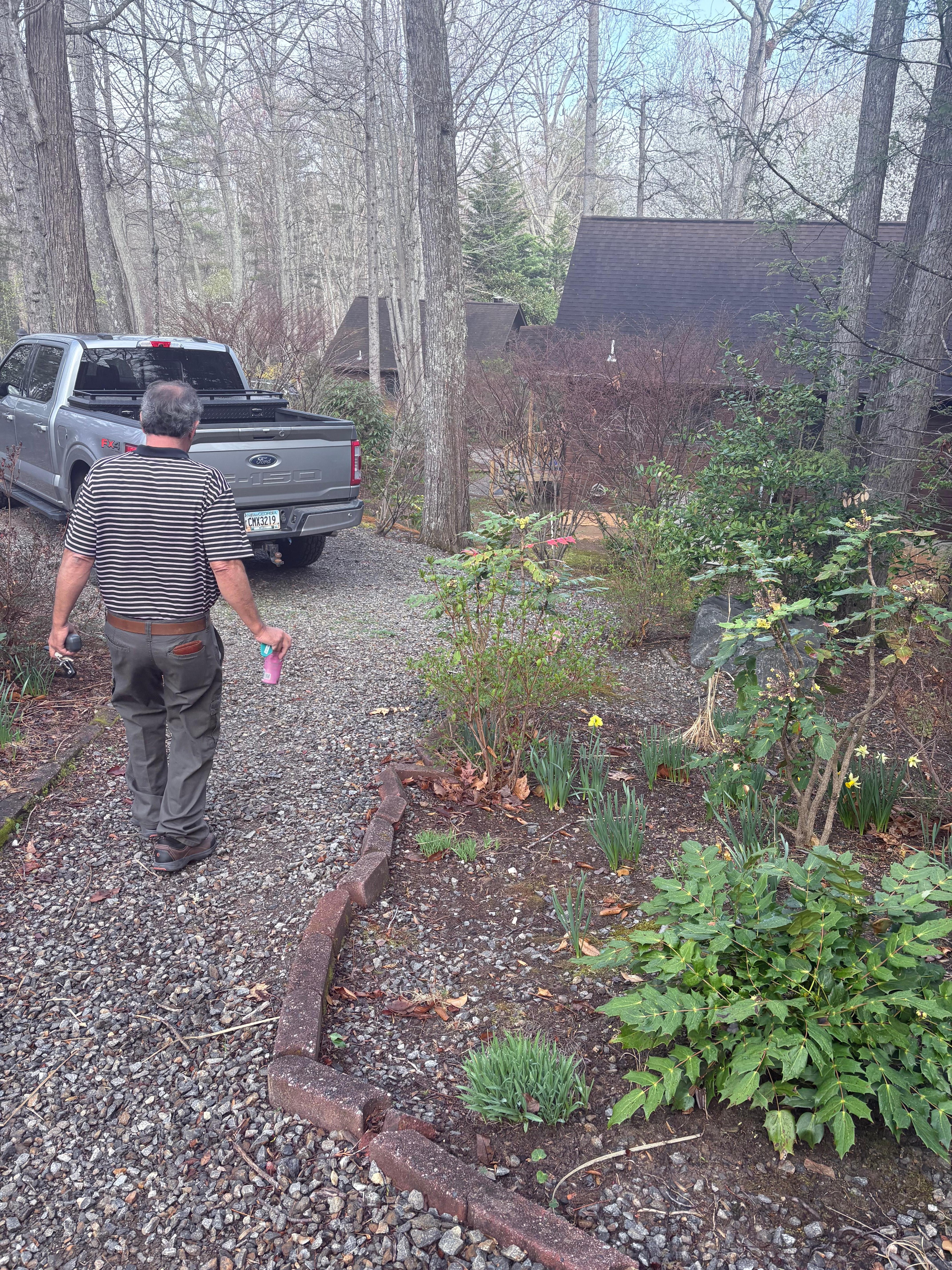 View to the parking area.