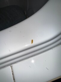 feces like residue on the side of the hotub.