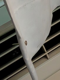 Screw in the window curtain