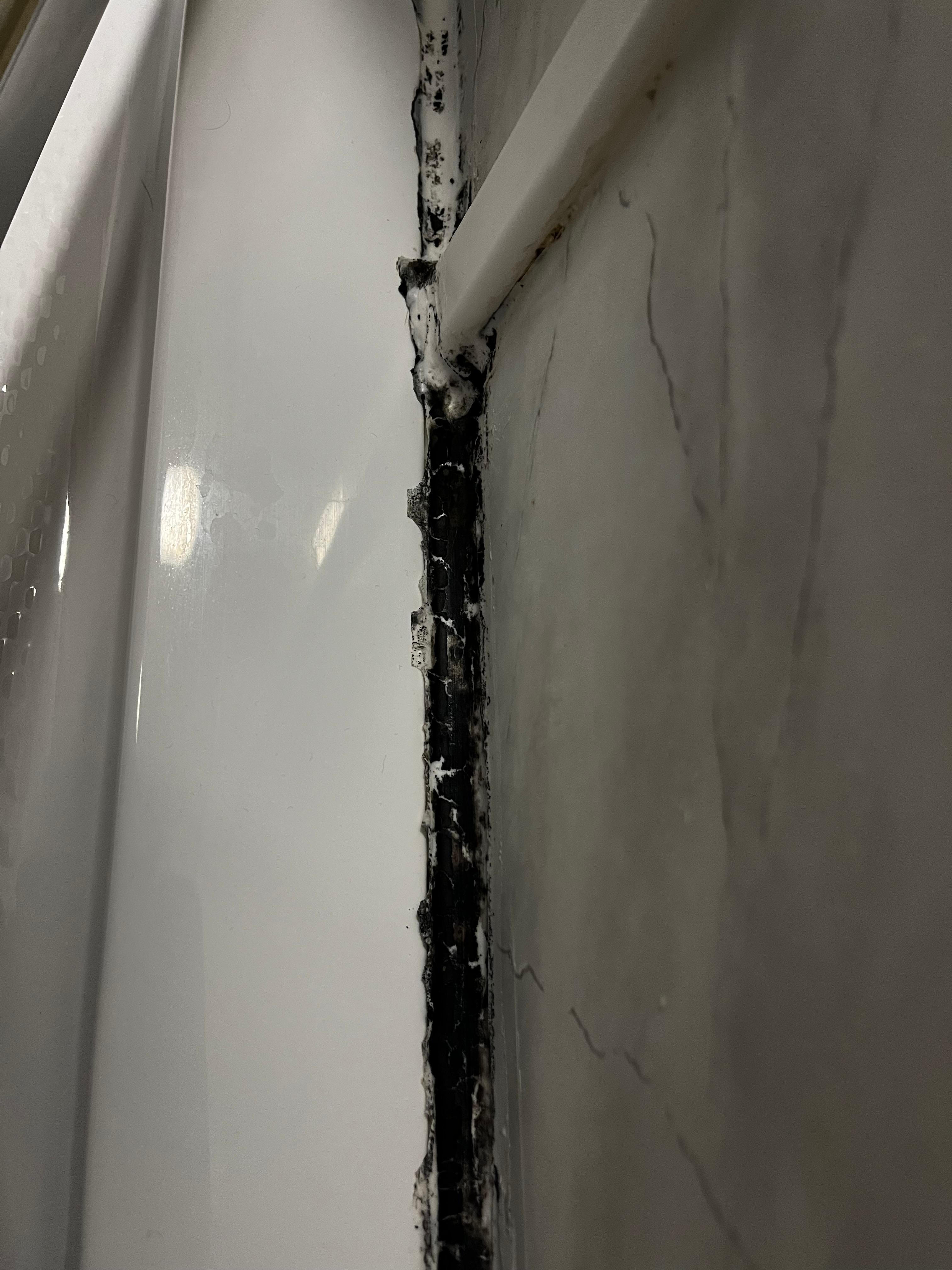 Mold in bathroom 