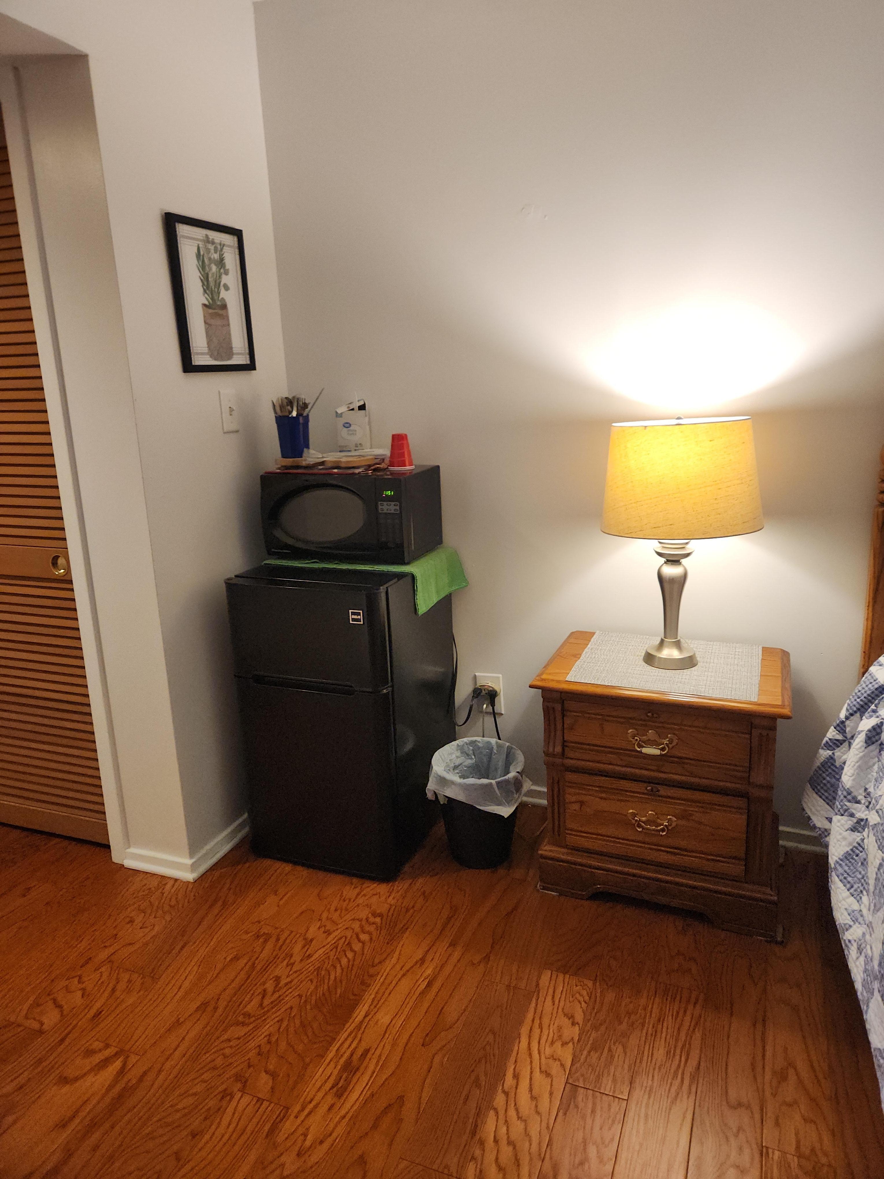 Fridge/freezer and microwave 